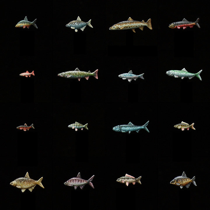 Animal Set 1 Fish