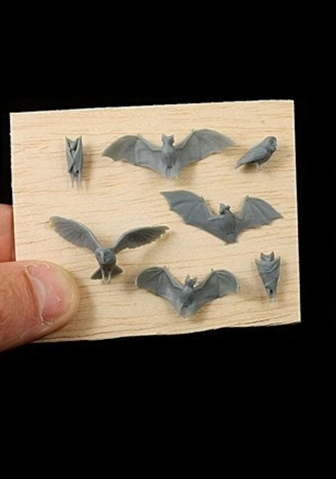 Bats & Owls