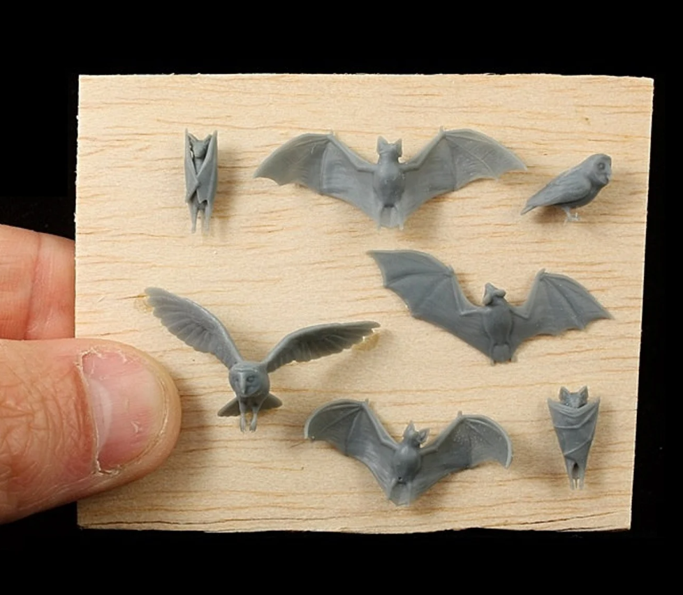 Bats & Owls