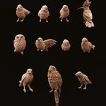 Birds Set 2