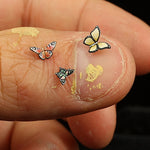 Butterflies - Animal Set