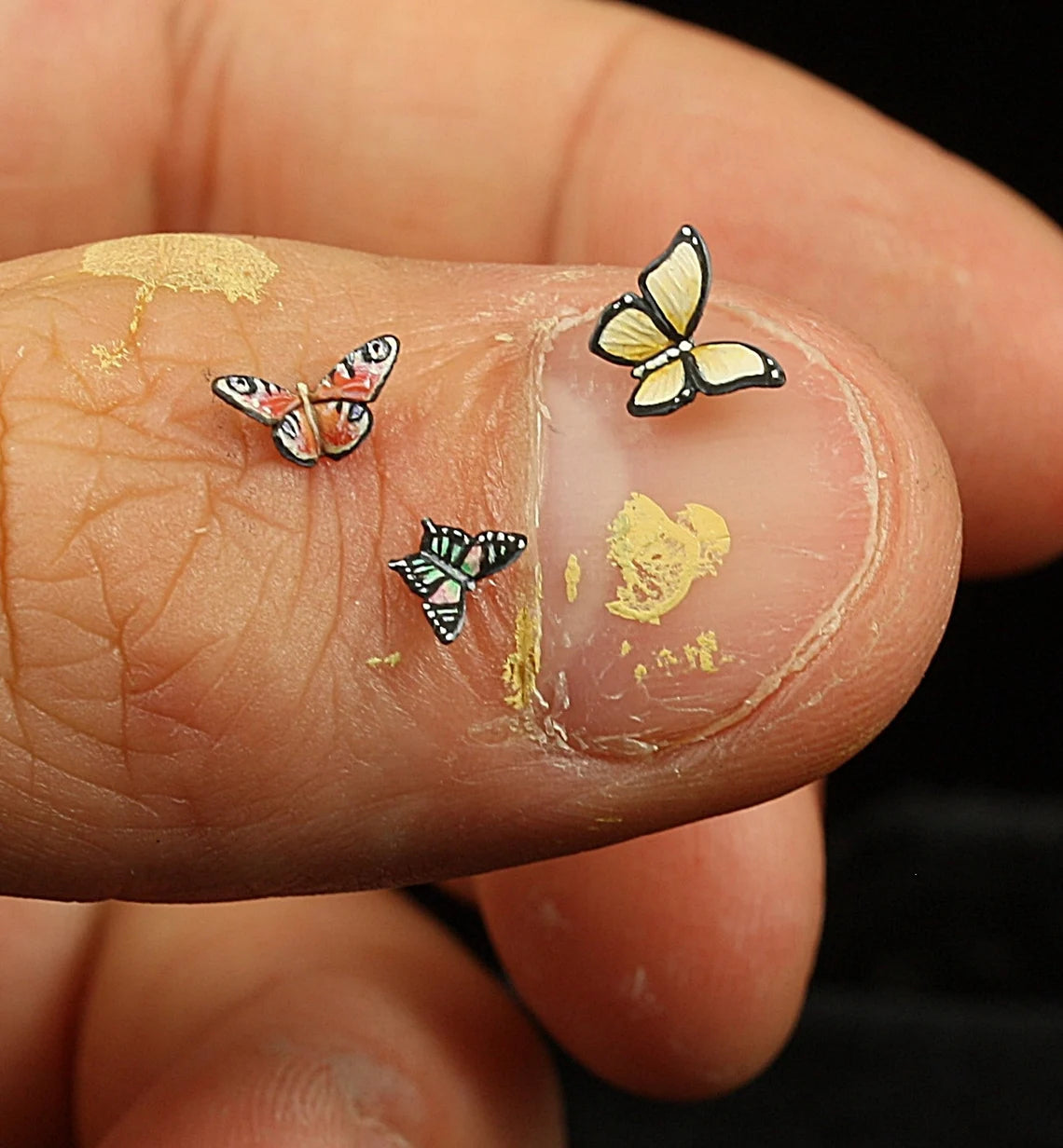 Butterflies - Animal Set