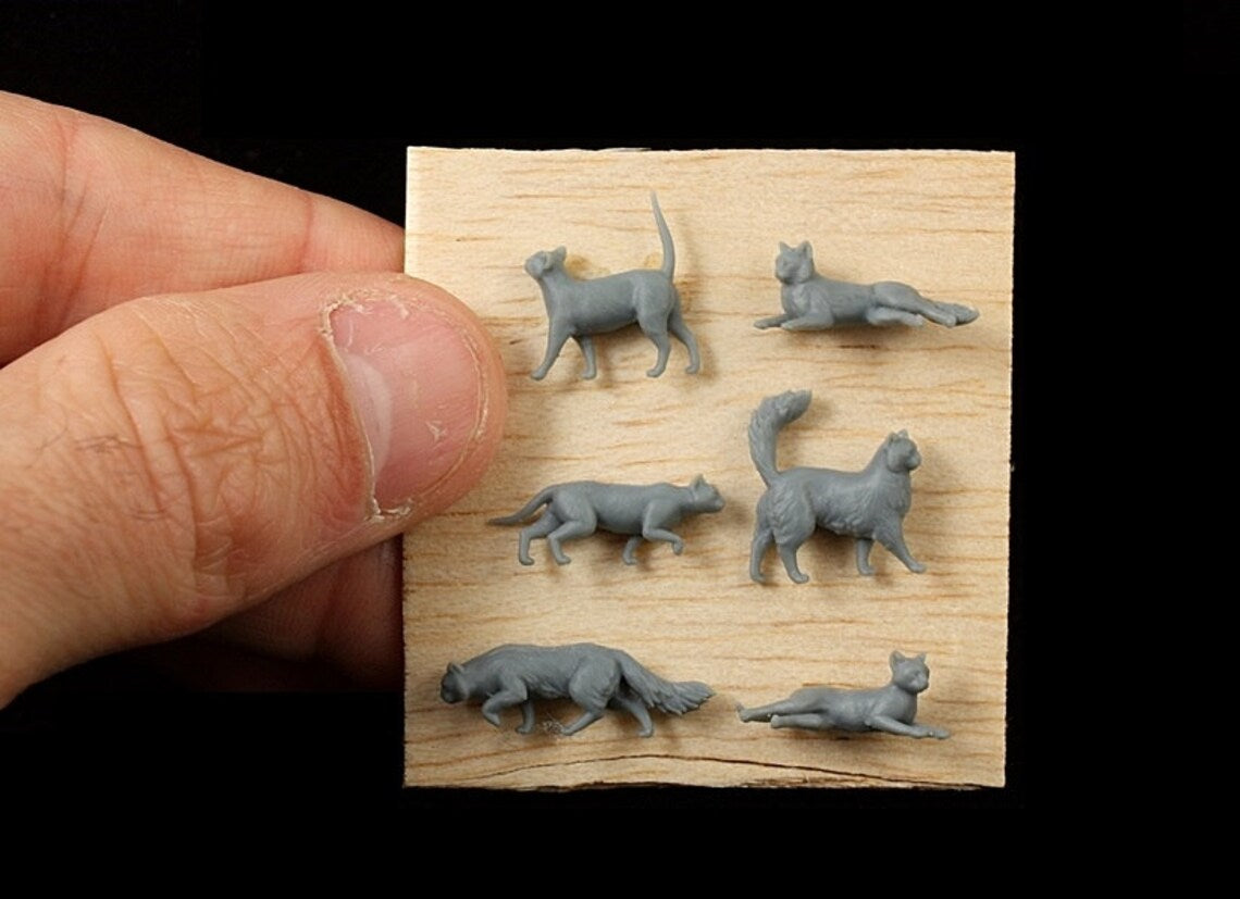 Cats Animal Set