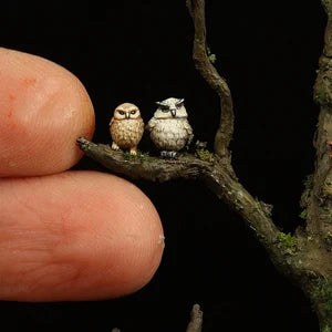 Owl - Animal Set