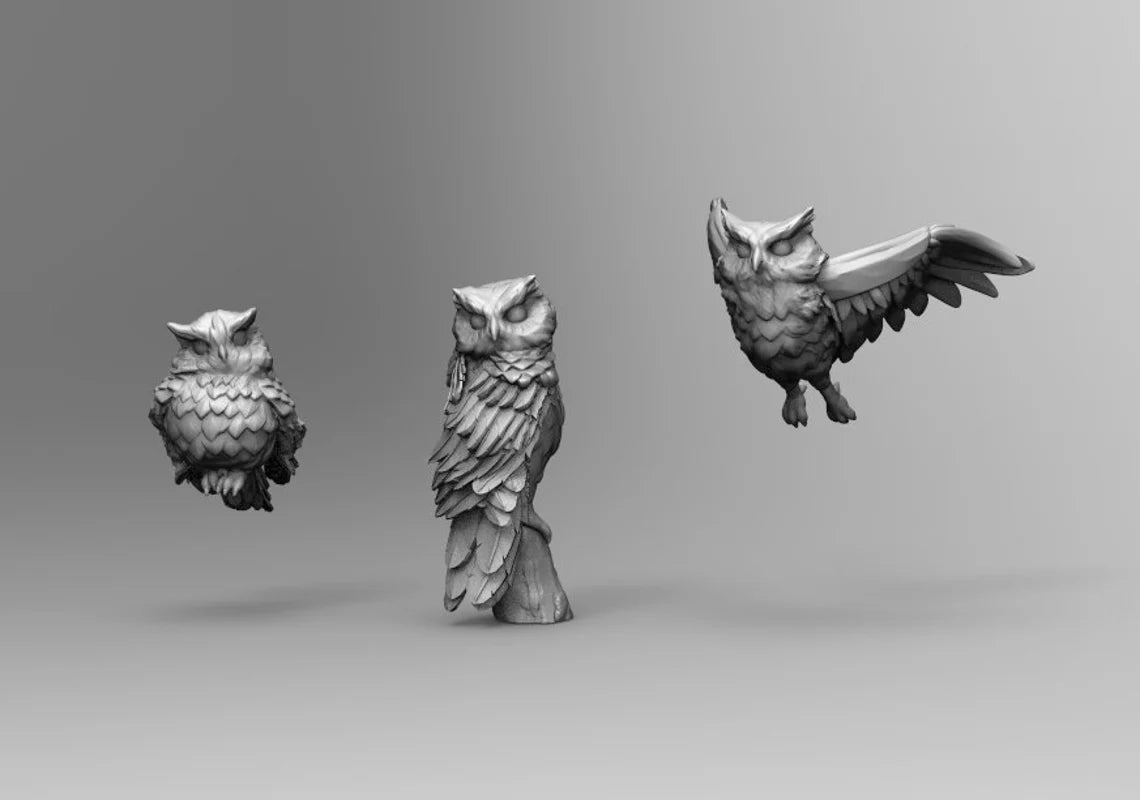Owl - Animal Set